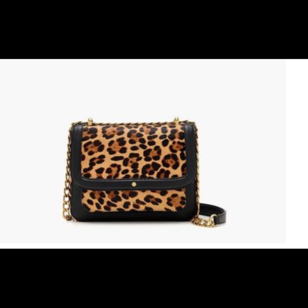 J Crew Devon Crossbody Chain Link Strap